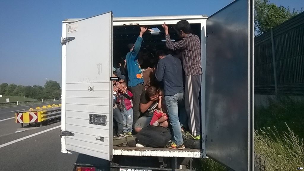 В холодильнике грузовика были найдены 26 мигрантов 